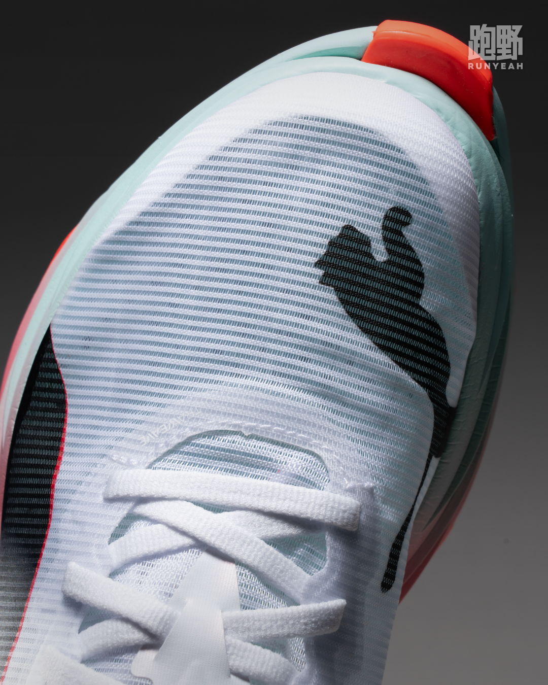 开箱 Vol25029｜跑步经济性能提升 3.15% 的竞速碳板跑鞋 PUMA FAST-R 3